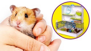 Otra casa nueva ahora para los hamsters [upl. by Dew]