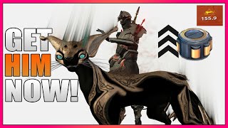 Get the Smeeta Kavat NOW  Warframe [upl. by Eceirehs]