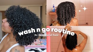 My Wash N Go Routine 2024  Type 43B Natural Curly Hair [upl. by Anavi]