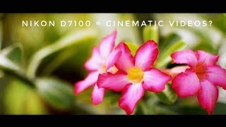 Nikon D7100 Cinematic Test [upl. by Attenweiler]