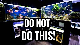 Watch BEFORE Buying African Cichlids  Beginners Guide [upl. by Kennan]