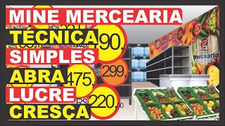 Mini Mercearia 22M técnica simples e fácil você abre com pouco cresce rápido e lucra muito [upl. by Nnairak]