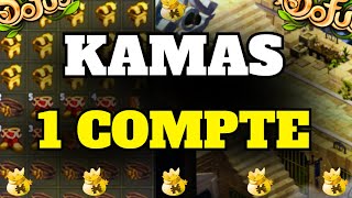 Faire des KAMAS en jouant 1 COMPTE sur DOFUS  On TESTE ce que CONSEILLE HUZ [upl. by Weissberg203]