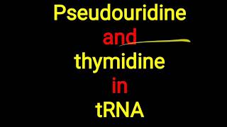 Pseudouridine ll Thymidine in tRNA [upl. by Ewer839]