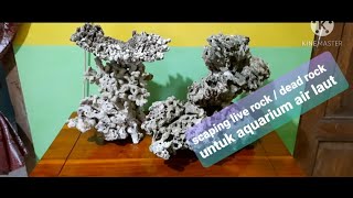 Scaping live rock  dead rock untuk aquarium air laut [upl. by Sherrard]