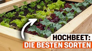 Hochbeet bepflanzen Das sind die 7 besten Gemüsesorten [upl. by Caron]