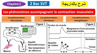 Au coeur des organes  Le muscle moteur du mouvement [upl. by Tay604]