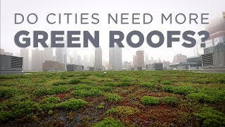 How Green Roofs Can Help Cities  NPR [upl. by Rosella]