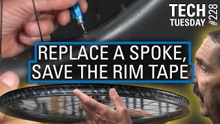 Replace a Spoke Save the Rim Tape  Tech Tuesday 228 [upl. by Ah]