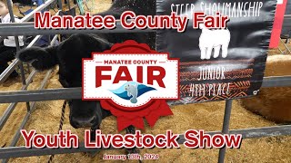 Manatee County Fair  Youth Livestock Show [upl. by Pitt]