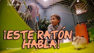 Cámara oculta de niños en El Hormiguero  Juego de ratones [upl. by Studnia]