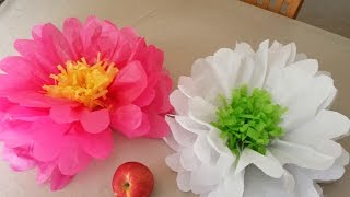 How to Make Tissue Paper Flowers [upl. by Hgielak970]