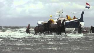 Demonstratie Paardenreddingboot Ameland [upl. by Allemrac]