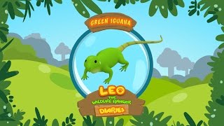 Green Iguana  Leo The Wildlife Ranger Animal Diaries  Animal Facts for Kids [upl. by Oicnedurp]