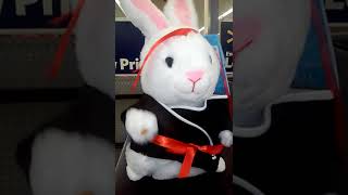 Musical Karate Easter Bunny Rabbit at Walmart [upl. by Emad]