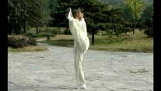 Tai Chi 42 Forms Part 1 to 4  Total Demo by Miss Ng Ah Mui [upl. by Zsolway]