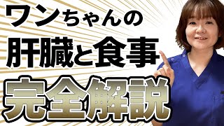 犬の肝臓病と療法食について獣医が解説 [upl. by Nova]