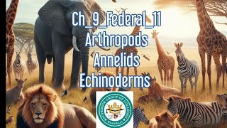 ch9Animalia Arthropods Echinoderms Hemichordates Insects Starfish Grasshopper [upl. by Ob]