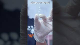 How to prepare a veterinary urine sediment sample veterinary clinicalskills vetacademy shorts [upl. by Nedyah929]