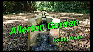 Allerton Garden tour Kauai [upl. by Flemings]