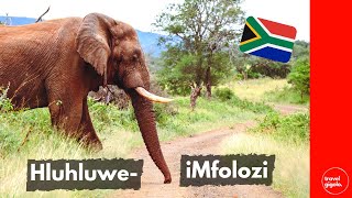 Travel Review Hluhluwe iMfolozi Game Reserve Northern KZN South Africa Self Drive [upl. by Lemak781]