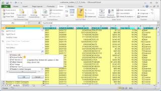 Excel criteria Filtering criteria in more than one column AND [upl. by Richy711]