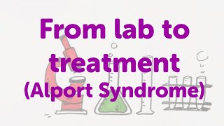 Minute Lecture From lab to treatment Alport Syndrome [upl. by Nedap]