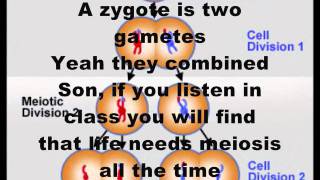 Teach Me Cell Meiosis Dougie Meiosis Rap [upl. by Ydnil]