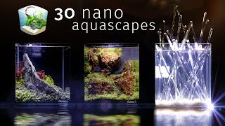 Thirty Of the Best Nano Aquascapes In America — Aquatic Experience 2017 [upl. by Eltsyrhc229]