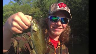 Bass Fishing Nebish LakeWI [upl. by Hedgcock270]