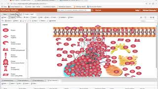 Super simplified Pathology  Thrombosis and Embolism  Unacademy Future Doctors  DrPriyanka [upl. by Joab]