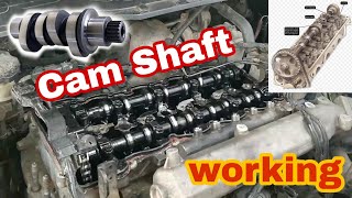 How the  Camshaft  Working  Clear Video in Running Car [upl. by Naut888]