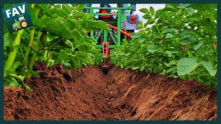 Aardappels aanaarden  Ridging potatoes  Fendt Vario Spring 2020 [upl. by Yral]