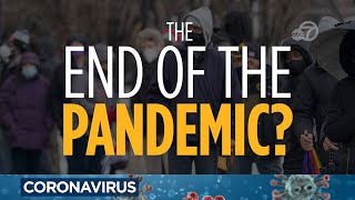 Is the end of the COVID pandemic near Heres what experts say about entering endemic phase [upl. by Bender913]