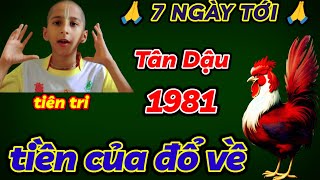 TIÊN TRI HÉ LỘ  TÂN DẬU 1981 MAY MẮN NGẬP TRÀN TIỀN VÀNG NGẬP KÉT  7 NGÀY CUỐI THÁNG 3 ÂM GIÀU TO [upl. by Isidro523]