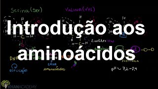 Introdução aos aminoácidos  Macromoléculas  Biologia  Khan Academy [upl. by Steele572]