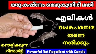 💯 എലികൾ കൂട്ടമായി ചത്തു വീഴാൻ ഒരു കഷ്ണം മെഴുകുതിരി മാത്രം മതി കിടിലൻ സൂത്രം  ratremoval [upl. by Ydasahc]