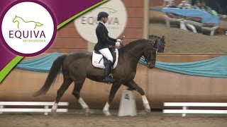 Nachwuchsreiter auf der EQUIVA DressurGala 2014 [upl. by Katee]