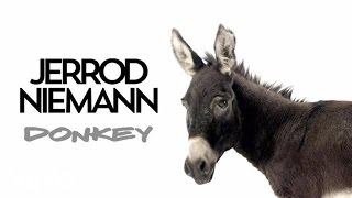 Jerrod Niemann  Donkey Audio [upl. by Rebel]