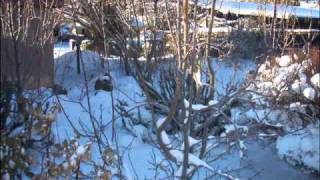 Silver City Bayard New Mexico Blizzard of 2010 on 1112011wmv [upl. by Killen]