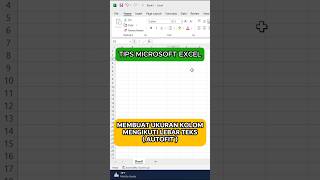 Membuat Ukuran Kolom di Excel Mengikuti Lebar Teks Secara Otomatis shorts excel microsoftexcel [upl. by Press]