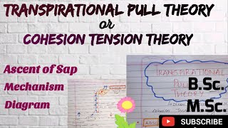 What is Transpirational pull theory Cohesion tension theory BSc MSc Plant Physiology Easy Explain [upl. by Vanna32]