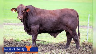 LOT 29 Yulgilbar Tablelands T126 P [upl. by Marice]