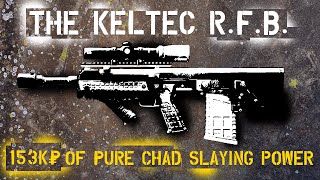 Budget RFB Build For Pure Tactical Tarkov Domination [upl. by Diamond]