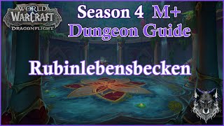 Rubinlebensbecken Season 4 M Guide  WOW Dragonflight [upl. by Garcia]