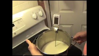 How to make Lactose Free Ricotta Cheese [upl. by Georas]