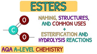 Carboxylic Acids and Derivatives  Esters｜AQA A Level Chemistry Revision [upl. by Kunz414]