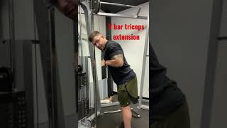 V bar triceps extension [upl. by Yrak]