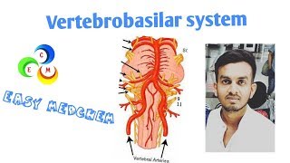 VERTEBROBASILAR SYSTEM [upl. by Aneloc900]