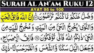 Surah Al Aanam Ruku 12  Surah Al Anam Ayat 95100  Al Anam Ruku No 12  Badius Samawati Wal Ard [upl. by Renell]